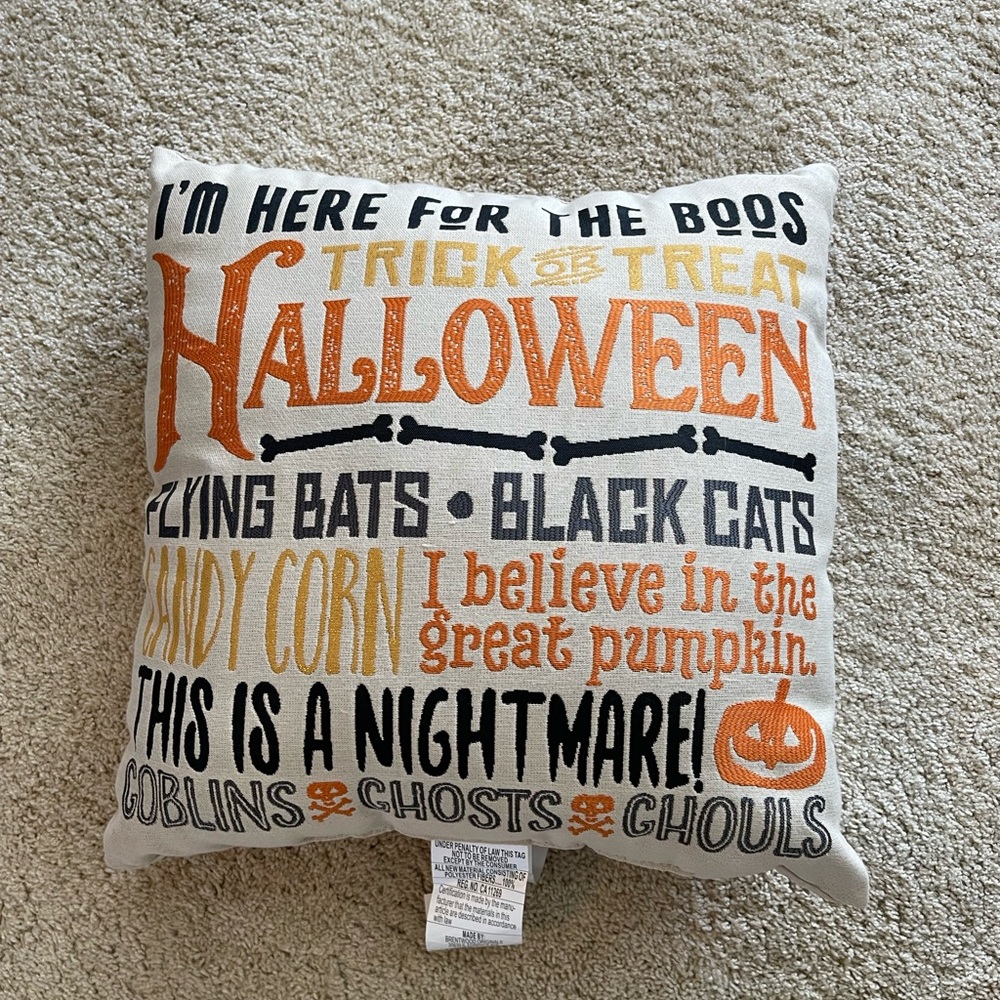 HALLOWEEN PILLOW. SAYINGS. PUMPKIN, BATA, GHOSTS. Ex CONDITION.